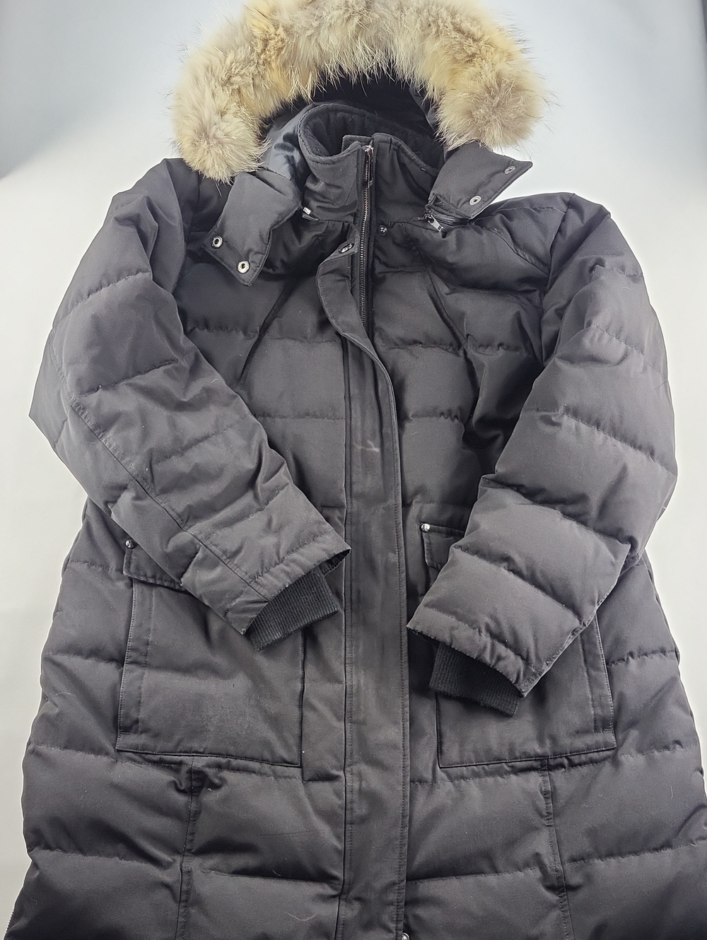 Company of Adventurers Hudson's Bay Company by Moose Knuckles Winter Coat ~ XXL